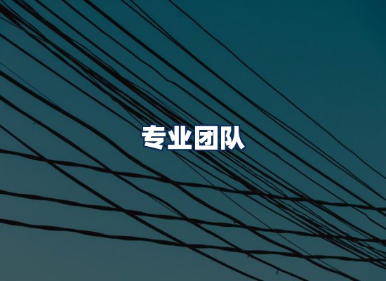 专业团队
